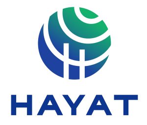 Hayat Holding